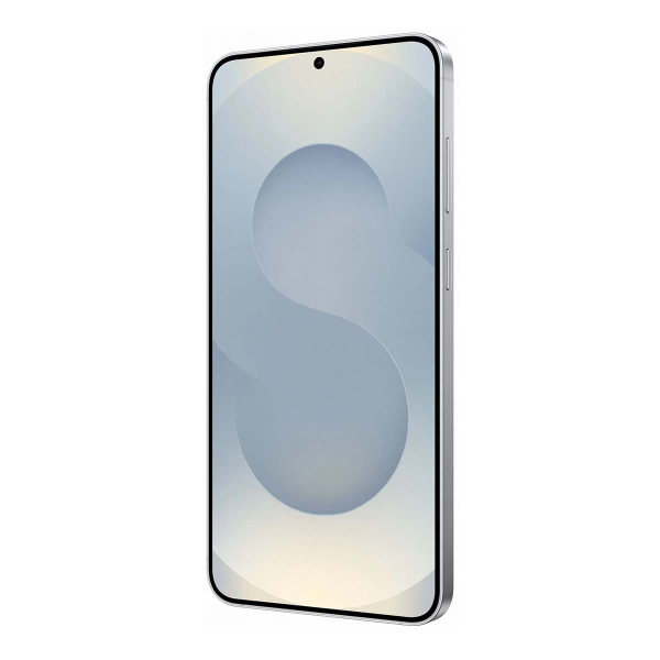 Samsung Galaxy S25+ 12/256Gb Silver Shadow, серый